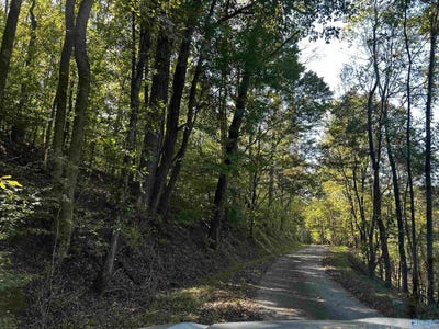 /international/us/40-roberts-road-prospect-tn-110120554909/