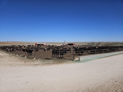 /international/us/5010-big-valley-dr-scott-city-ks-110107341747/
