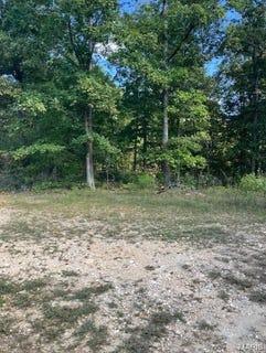 /international/us/188-madison-cr-410-fredericktown-mo-110104952424/