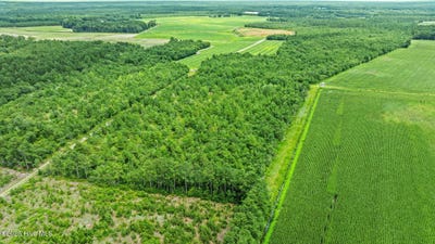 /international/us/1-green-sea-road-garland-nc-110101242335/?lang=zh-tw