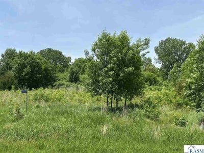 /international/us/29036-biehn-drive-madison-lake-mn-110099988410/