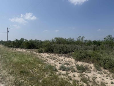 /international/us/134-lariat-del-rio-tx-110108426163/