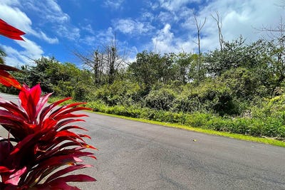 /international/us/13-3522-maile-st-pahoa-hi-110119994173/