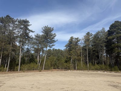 /international/us/v-l-w-pine-acres-trail-hart-mi-110098026429/