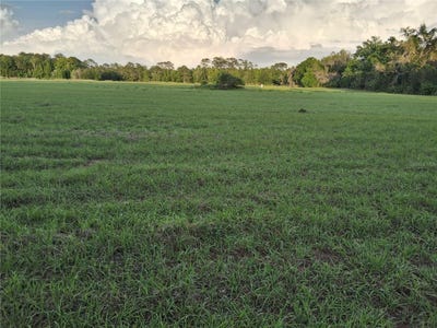 /international/us/1613-ne-12th-avenue-sumterville-fl-110107691718/