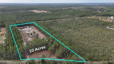 /international/us/810-wild-curr-road-pierson-fl-110099905597/
