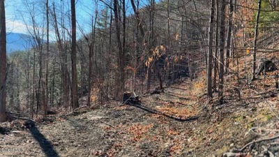 /international/us/gorge-road-middleburgh-ny-110105411199/