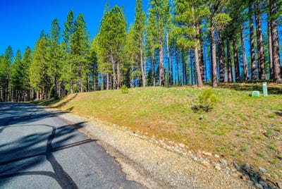/international/us/266-boulder-drive-clio-ca-110107268185/