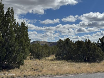 /international/us/5-clubhouse-lane-concho-az-110103234002/