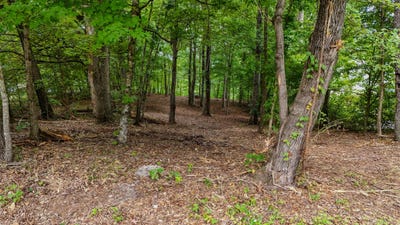 /international/us/260-sam-johnson-road-georgetown-tn-110101332302/?lang=en