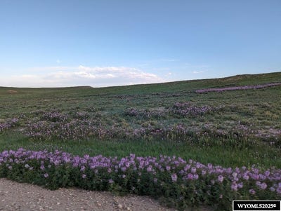 /international/us/0-chaps-st-laramie-wy-110101200027/?lang=zh-tw