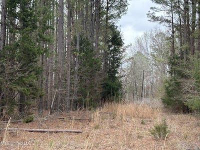 /international/us/county-road-2211-kosciusko-ms-110105804528/