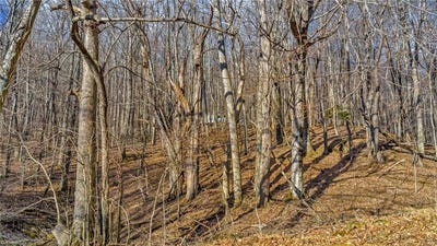 /international/us/tbd-23-locust-circle-west-jefferson-nc-110106254868/