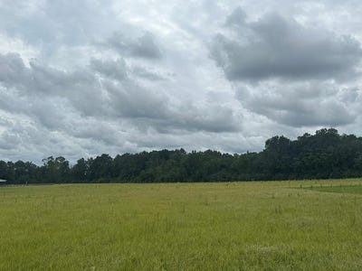 /international/us/hadden-road-lot-2-dothan-al-110102581022/
