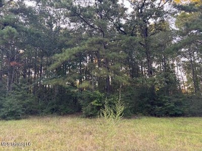 /international/us/park-place-lot-3-mccomb-ms-110107682672/