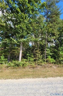 /international/us/narrow-path-trail-beaverdam-va-110102364813/