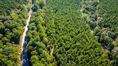 /international/us/140-topsy-road-hohenwald-tn-110095393216/