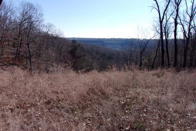 /international/us/lot-14-country-club-ln-bull-shoals-ar-110083402456/