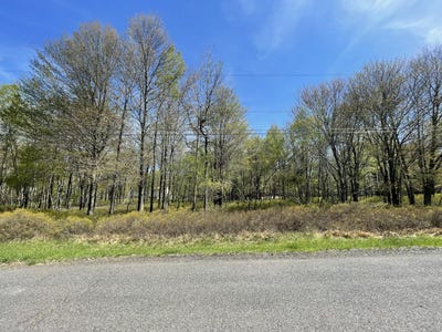 /international/us/forest-hill-drive-blakeslee-pa-110099472511/