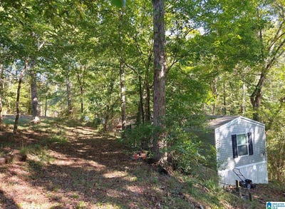 /international/us/421-river-hill-lane-adger-al-110120624245/