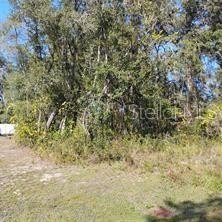 /international/us/se-61st-place-ocklawaha-fl-110110363835/