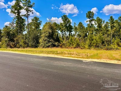 /international/us/morgans-branch-lot-2-molino-fl-110102660527/