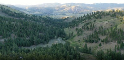 /international/us/1-tract-bull-elk-drummond-mt-110106468130/