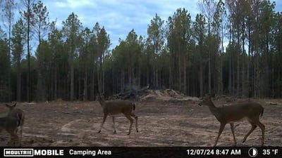 /international/us/19-43-big-rocks-rd-antlers-ok-110100653244/