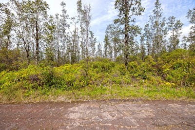 /international/us/16-2191-road-4-io-kea-mountain-view-hi-110107783068/