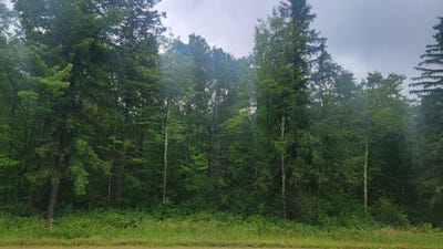 /international/us/n4651-pennington-rd-prentice-wi-110101049242/
