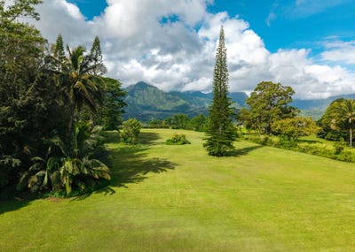 /international/us/hanalei-plantation-rd-princeville-hi-110108542544/