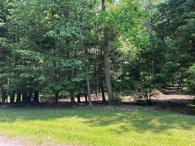 /international/us/waterworks-road-lot-b-clarion-pa-110093436537/