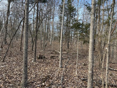 /international/us/2371-b-county-road-359-thayer-mo-110097804685/?lang=zh-tw