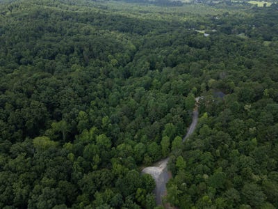 /international/us/dogwood-hollow-old-fort-tn-110109066900/