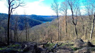 /international/us/lola-dr-smithville-tn-110106556901/