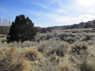 /international/us/nevada-hwy-322-2-19-ac-pioche-nv-110090876106/?lang=zh-tw