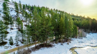 /international/us/25xx-hall-creek-rd-inchelium-wa-110100924169/