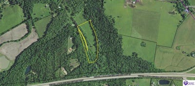 /international/us/1293-caneyville-cut-off-rd-caneyville-ky-110102940047/