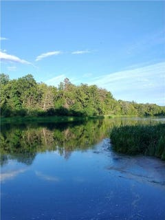 /international/us/tbd-county-rd-14-nimrod-mn-110108033007/