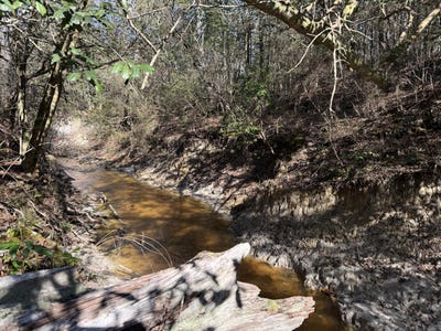 /international/us/38-ac-indian-hill-rd-richton-ms-110105353822/