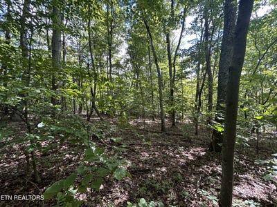 /international/us/clint-williams-rd-lot-5-6-rutledge-tn-110101524141/