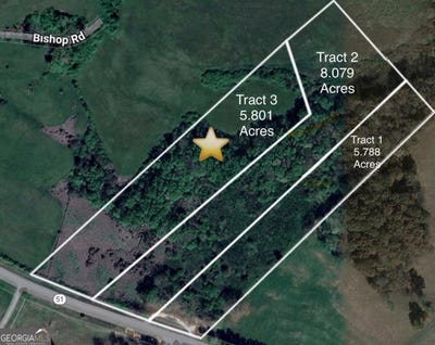 /international/us/tract-3-hwy-51s-homer-ga-110104573789/