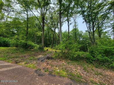 /international/us/woodland-road-lot-5-mt-carmel-pa-110107776407/