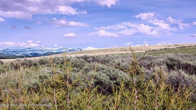 /international/us/2084-moose-path-way-tetonia-id-110099733925/