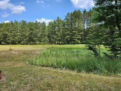 /international/us/6389-south-woods-trail-road-custer-mi-110100848994/