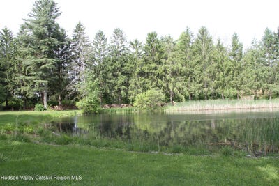 /international/us/60-eddy-road-verbank-ny-110108480129/