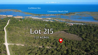 /international/us/lot-no-215-red-rock-placencia-tx-110109811915/