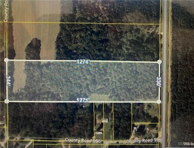 /international/us/33-county-square-orrville-al-110104298182/