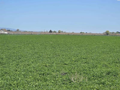/international/us/nka-green-valley-road-sunnyside-wa-110105926088/