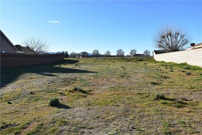 /international/us/27237-peach-tree-lane-helendale-ca-110105796760/